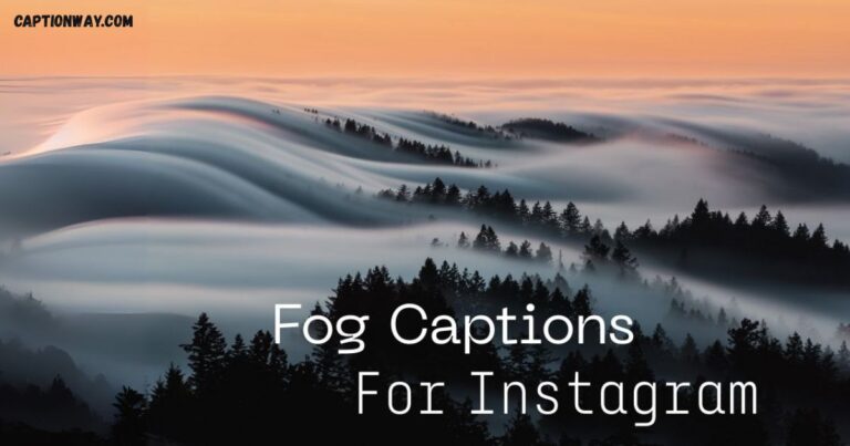 125+ Best Fog Captions For Instagram: Funny & Moody
