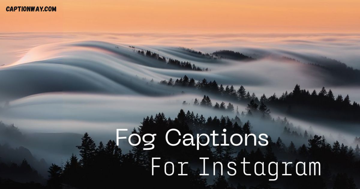125+ Best Fog Captions For Instagram: Funny & Moody