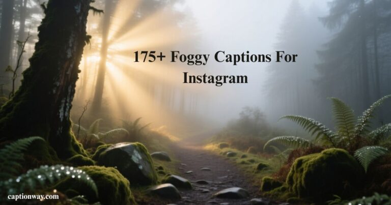 Foggy Captions For Instagram