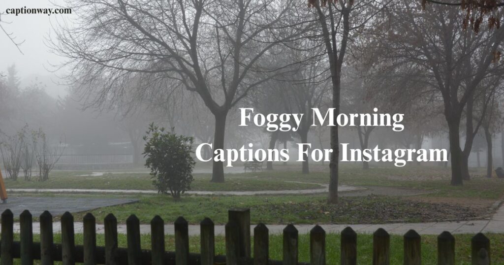 Foggy Morning Captions For Instagram