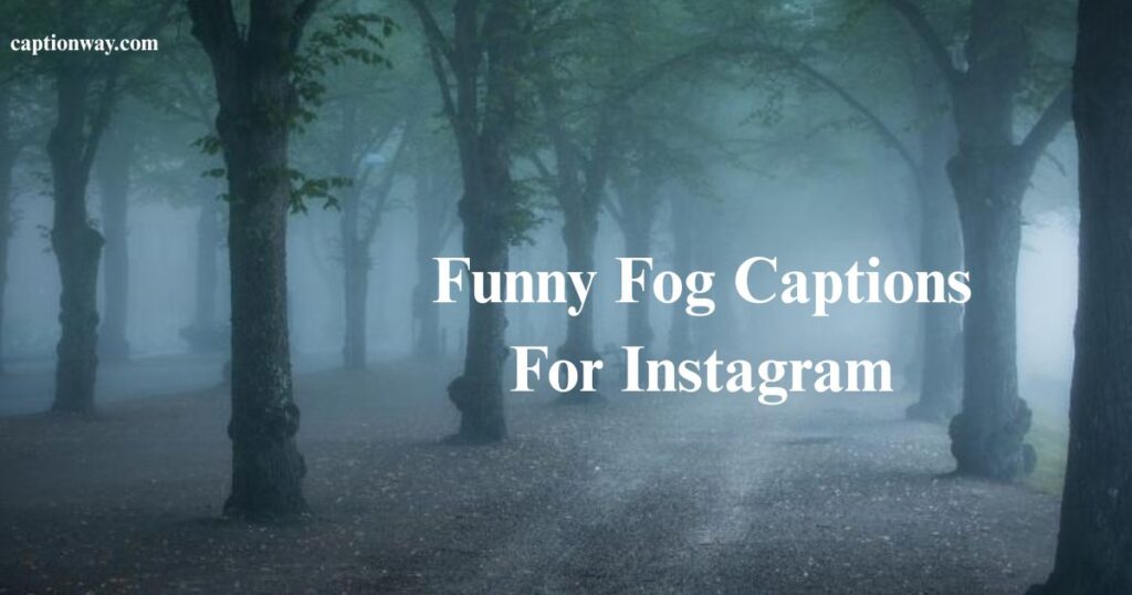 Funny Fog Captions For Instagram