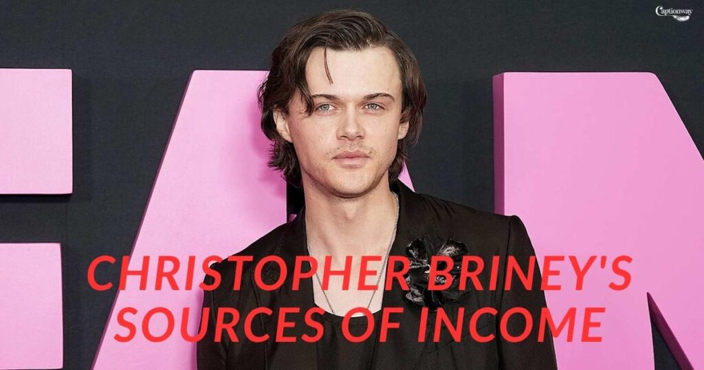 Christopher Briney's Sources of Income
