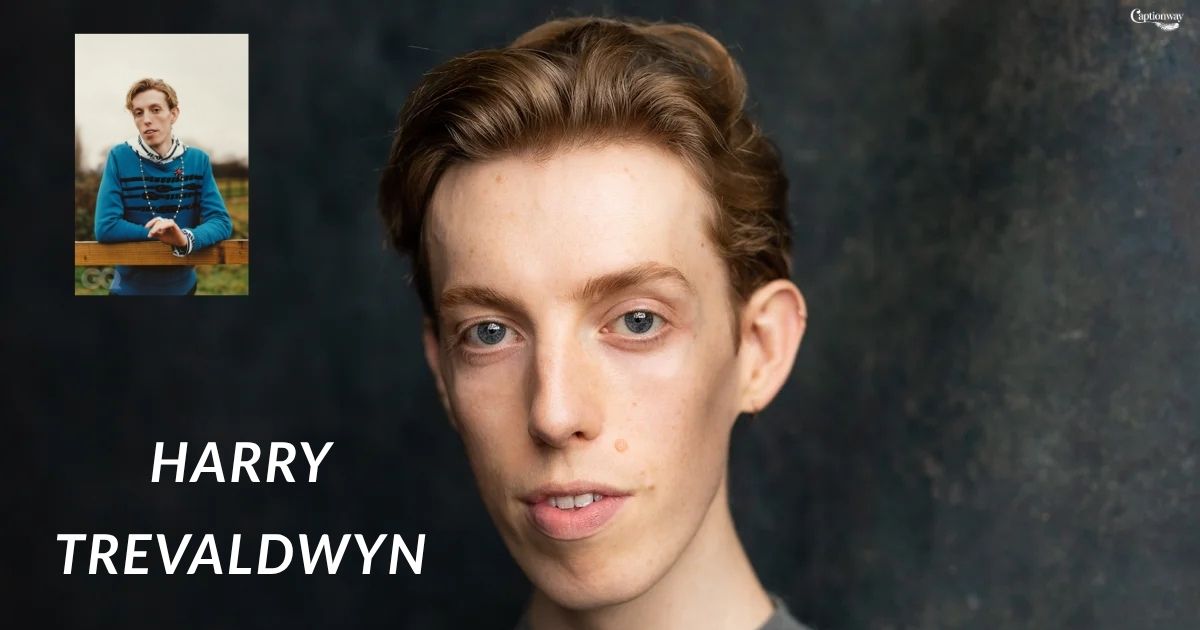 Harry Trevaldwyn